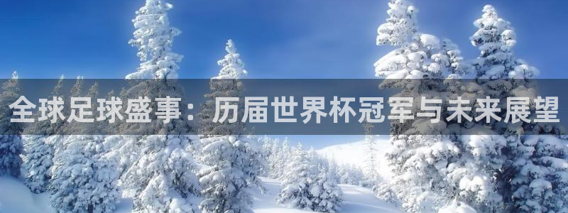 26世界杯:全球足球盛事:历届世界杯冠军与未来展望