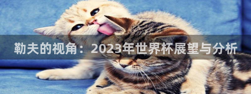 2026世界杯亚洲区预选赛赛程:勒夫的视角:2023年世界杯展望与分析