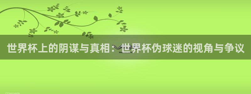 中国 世界杯:世界杯上的阴谋与真相:世界杯伪球迷的视角与争议
