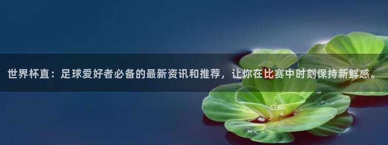 世预赛欧洲赛程表:世界杯直:足球爱好者必备的最新资讯和推荐,让你在比赛中时刻保持新鲜感。