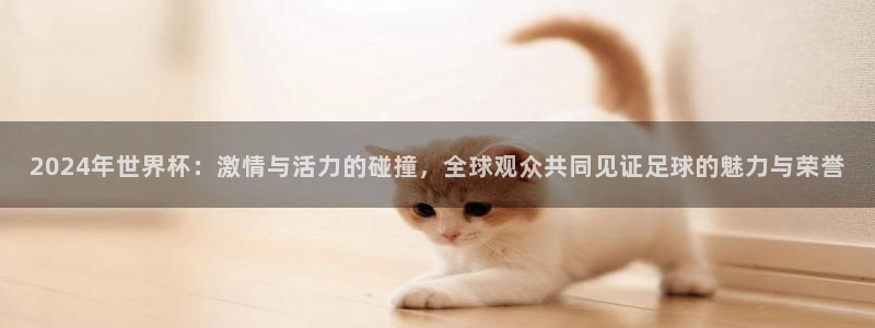 足球比分直播世界杯:2024年世界杯:激情与活力的碰撞,全球观众共同见证足球的魅力与荣誉