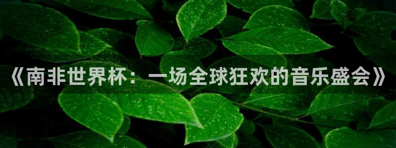 2026足球世界杯赛程时间表:《南非世界杯:一场全球狂欢的音乐盛会》