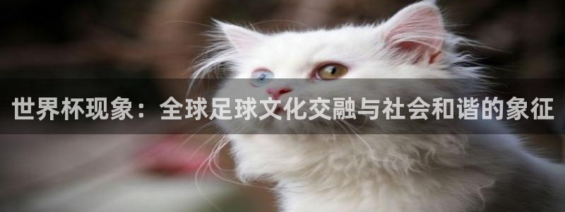 2026世界杯小组赛赛程时间表:世界杯现象:全球足球文化交融与社会和谐的象征